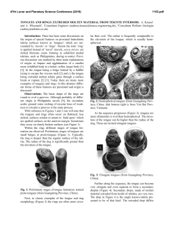 Tongues and Rings: Extruded Molten Material from Tektite Interiors