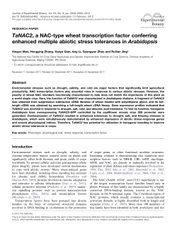 TaNAC2, a NAC-type wheat transcription factor conferring enhanced
