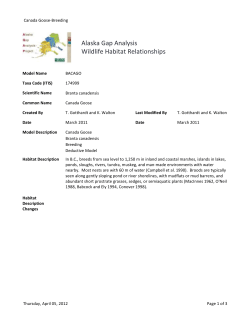 Canada Goose WHR species report