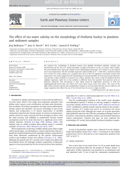 The effect of sea water salinity on the morphology of