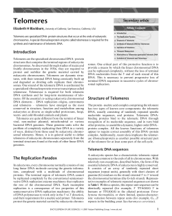 Telomeres - bu people