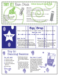 Rain Stick
