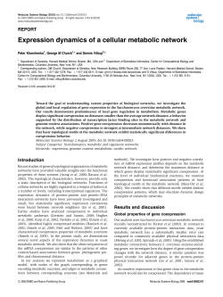 Expression dynamics of a cellular metabolic network