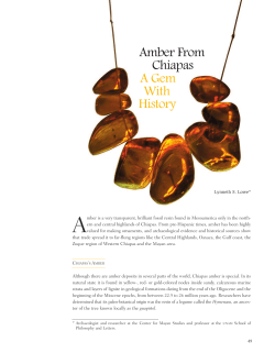 Amber from Chiapas - Revistas