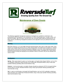 Maintenance of Zeon Zoysia