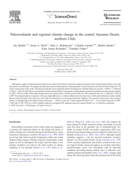 Paleowetlands and regional climate change in the central Atacama