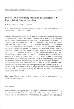Possible C02 Concentrating Mechanism in Chloroplasts of C Plants