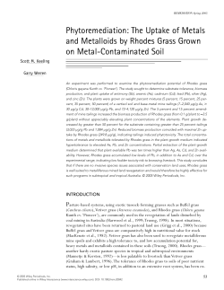 The uptake of metals and metalloids by rhodes