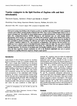Taurine conjugates in the lipid fraction of Euglena