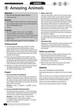 Amazing Animals 1 - University of Dayton Publishing