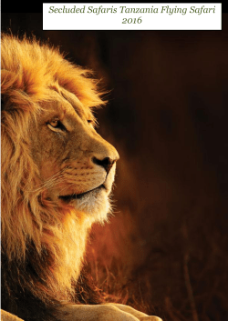 Secluded Safaris Tanzania Flying Safari 2016
