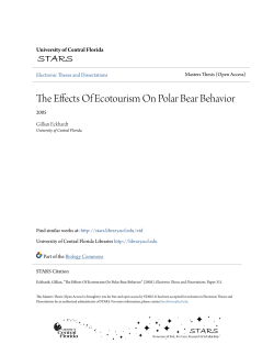 The Effects Of Ecotourism On Polar Bear Behavior