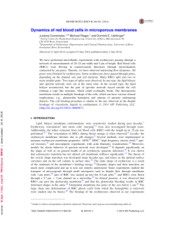 Dynamics of red blood cells in microporous membranes