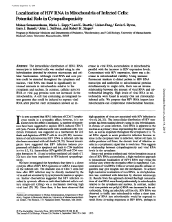Localization of HIV RNA in Mitochondria of Infected Cells: Potential