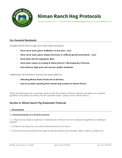 Niman Ranch Hog Protocols