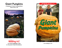 Giant Pumpkins