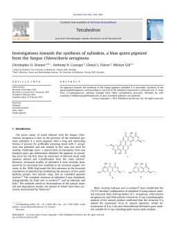 Investigations towards the synthesis of xylindein, a blue