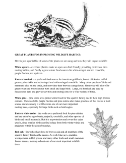 plants for wildlife