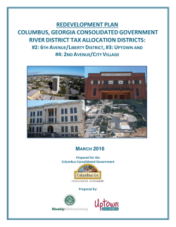 redevelopment plan columbus, georgia consolidated government
