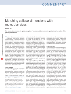 Matching cellular dimensions with molecular sizes