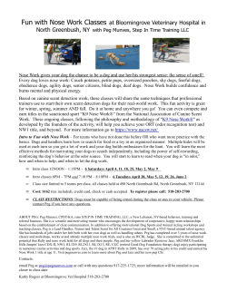 Fun with Nose Work Classes at Bloomingrove