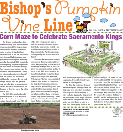 Bishop sPumpkin Vine Line