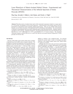 Laser Photolysis of Matrix-Isolated Methyl Nitrate: Experimental and