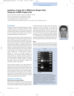 RNA from Single Cells Using the mRNA
