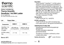 Thermo Scientific GeneRuler 1 kb DNA Ladder