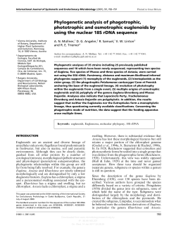Phylogenetic analysis of phagotrophic, phototrophic and