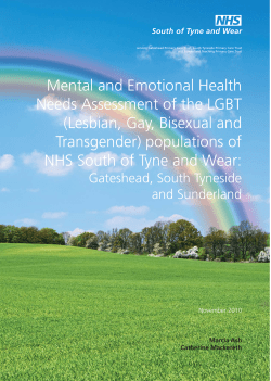 Mental and Emotional Health Needs Assessment of the LGBT