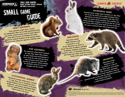 SMall Game - Lerner Publishing Group