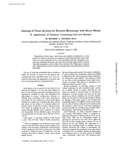 Staining of Tissue Sections for Electron Microscopy with Heavy