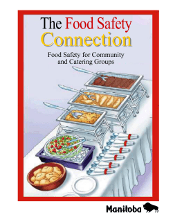The Food Safety Connection