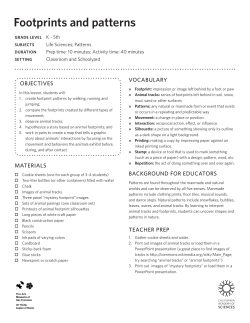 Footprints and patterns