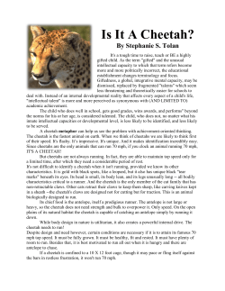 Is It A Cheetah? - Independence School District