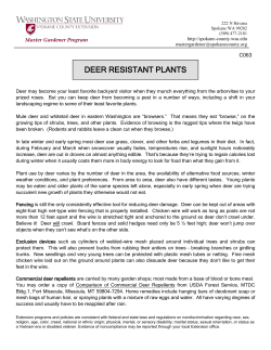 Deer Resistant Plants