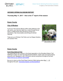 Letter to - Ontario Tourism Marketing Partnership Corporation