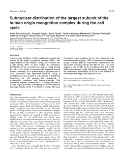 Subnuclear distribution of the largest subunit of the human origin