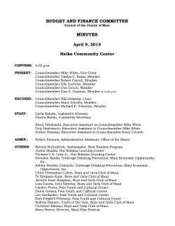 BUDGET AND FINANCE COMMITTEE MINUTES