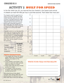 activity 2 built for speed