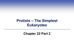 Protists – The Simplest Eukaryotes