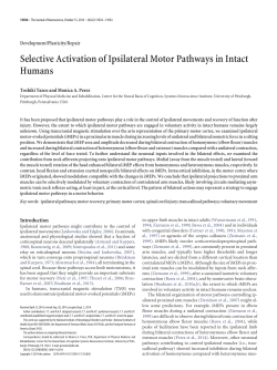Selective Activation of Ipsilateral Motor Pathways in Intact Humans