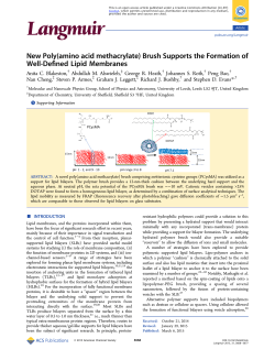 New Poly(amino acid methacrylate) Brush Supports the Formation of