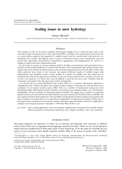 Scaling issues in snow hydrology