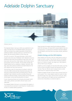 Adelaide Dolphin Sanctuary