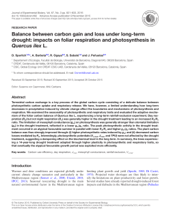 Balance between carbon gain and loss under long