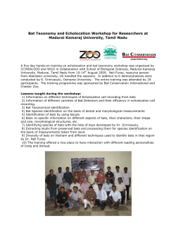 Bat Taxonomy and Echolocation Workshop for Researchers at