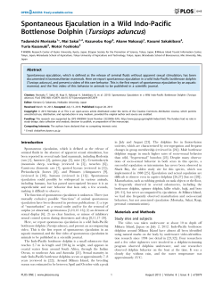 Spontaneous Ejaculation in a Wild Indo