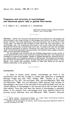 Frequency and structure of macrophages